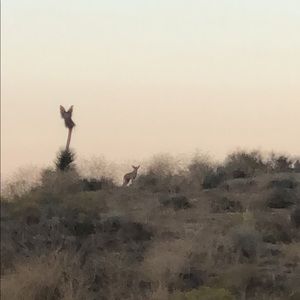 Meet your Posher, Jc